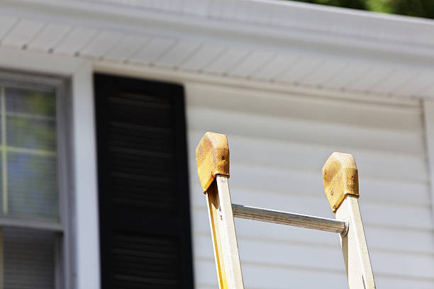 Best Steel Siding Installation  in Moyock, NC